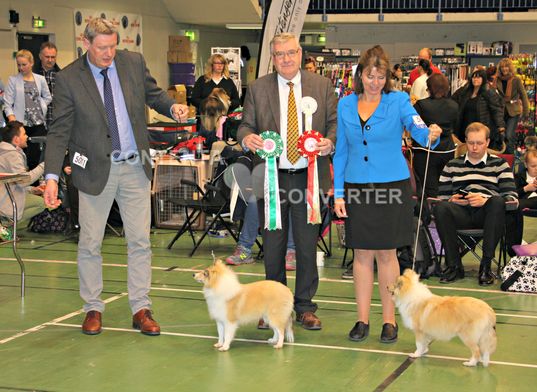 Norsk Dobermann Klubb, Letohallen 23.04.16