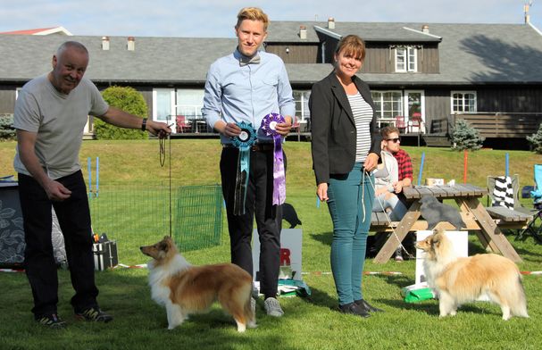 NSSK Valp- og Veteranshow 18.09.2016