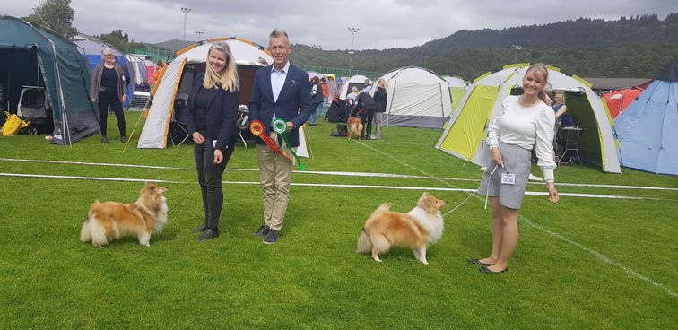 NHHK,Knarvik 11.06.22