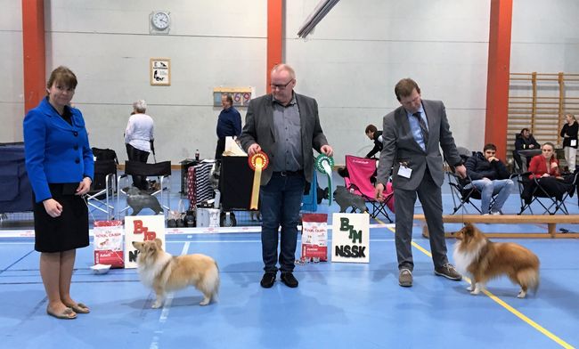NSSK Kristiansand 18.03.2017