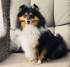 Bella