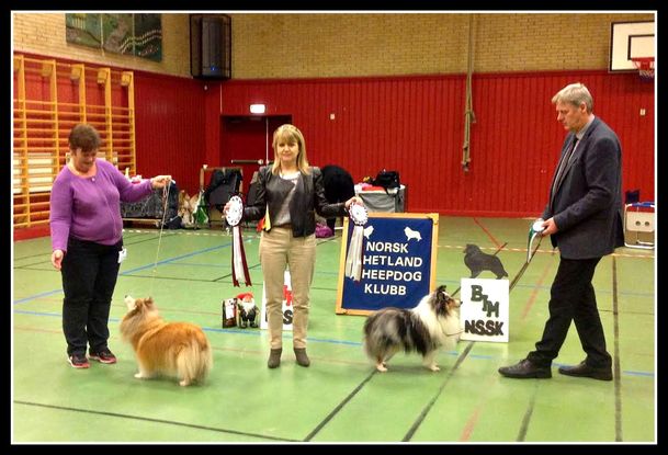 NSSK, Råde 14.12.2013