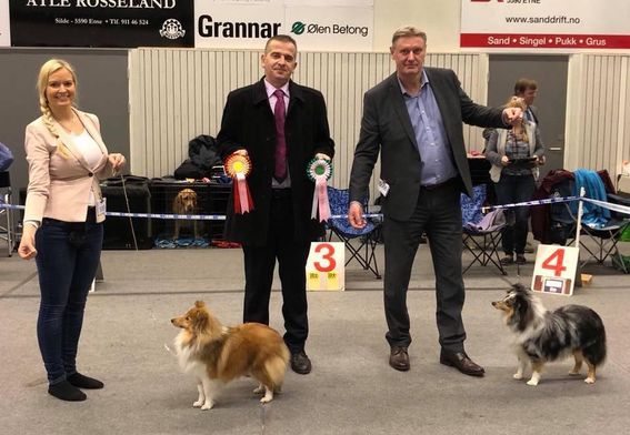 Ølen, Etne og Vindafjord Hundeklubb, Etne 11.02.2018