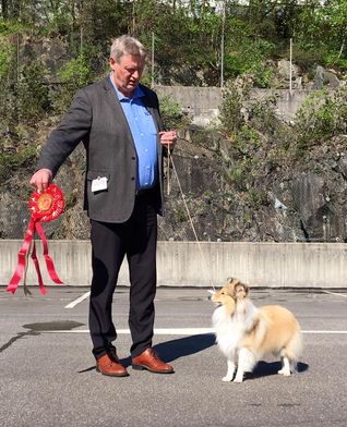 Norsk Dobermann Klubb, Bergen 21.05.17