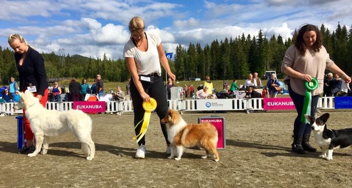 NKK Lillehammer 18.08.19