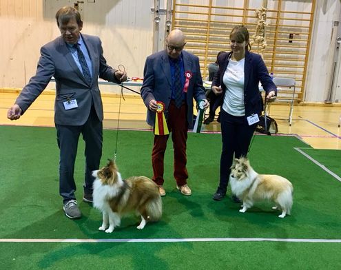 Fitjar og Stord Hundeklubb 11.11.2017