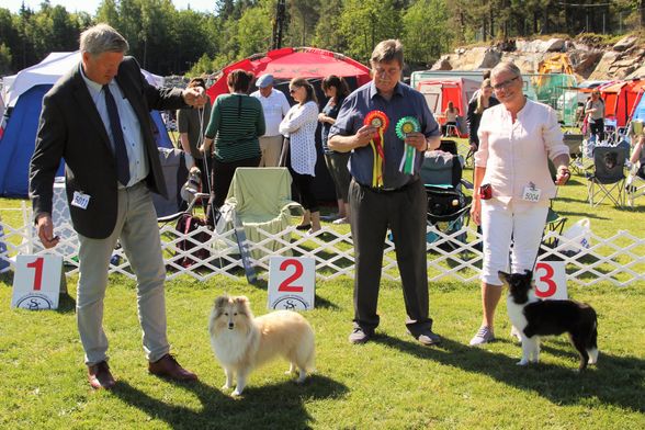 Sandefjord Hundeklubb 11.06.2016