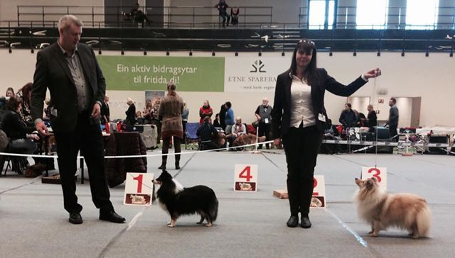 Ølen, Etne og Vindafjord Hundeklubb