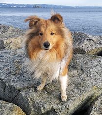 Gudmund