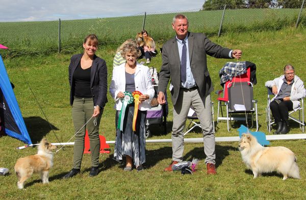 Norsk Collie Klubb, Trondheim 03.07.2016