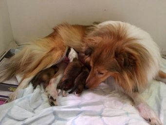 Newborn