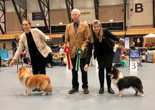 .Norsk Dobermann klubb, Sandefjord 18.12.22