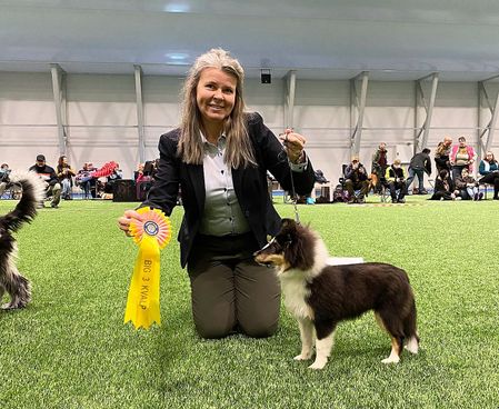 Sunnfjord Hundeklubb, Skei i Jølster 09.10.22