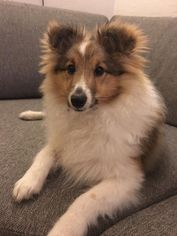 Milo