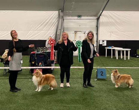 Norwegian Collie Club,, Bergen 03.04.22