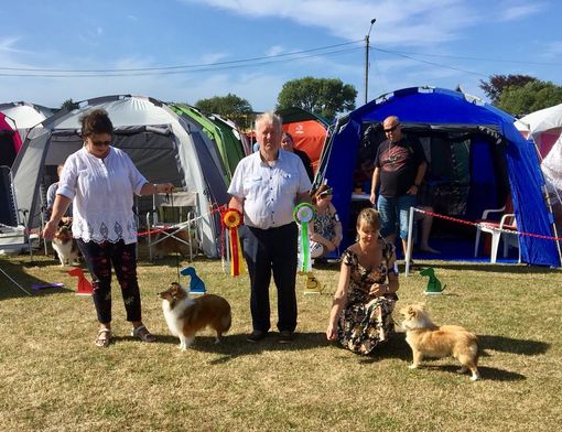 Fitjar - Stord Hundeklubb, Skudeneshavn 29.07.18