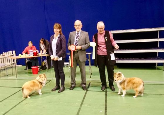 Norsk Miniatyrhund Klubb, Letohallen 10.11.2018