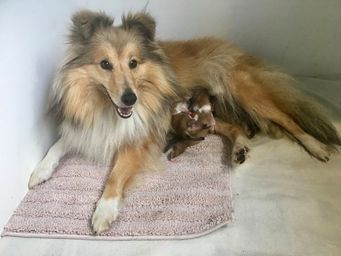 Newborn