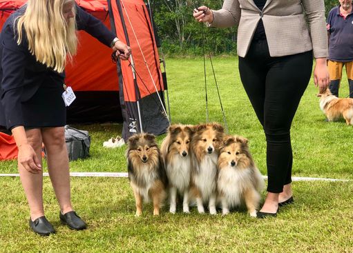 NSSK Ålesund 26.06.2022