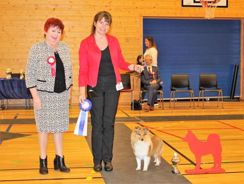 Nordhordaland Hundeklubb 23.02.2019