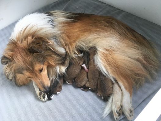 Newborn