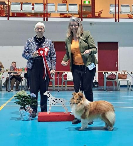 Norsk Dalmantine Klubb, Stange 22.04.23