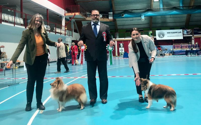 Norsl Dalmantiner Klubb, Stange 23.04.2023