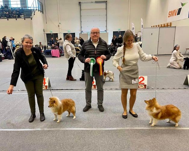 Etne- Ølen-Vindafjord Hundeklubb 5/2-2023