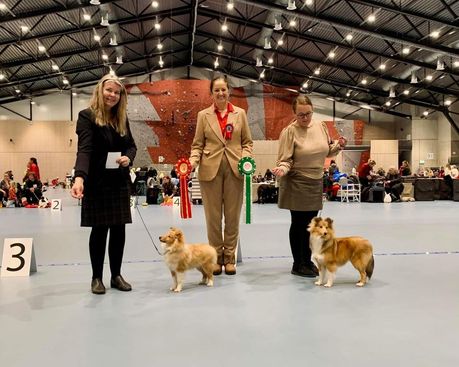 .Norsk Dobermann klubb, Sandefjord 17.12.22