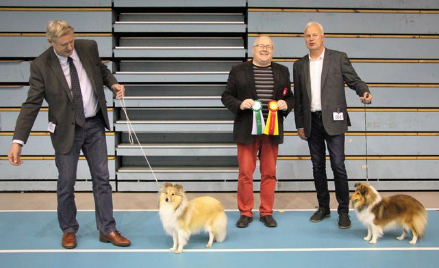 Fitjar - Stord Hundeklubb, 12.11.2016