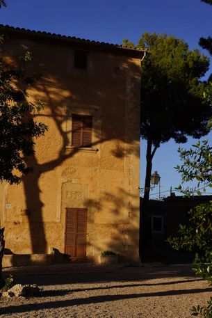 DSC03777_1000x667