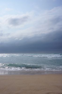 DSC01058_1000x667