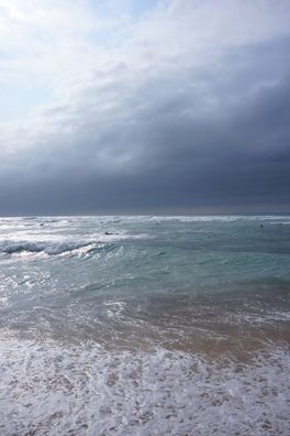 DSC01083_1000x667
