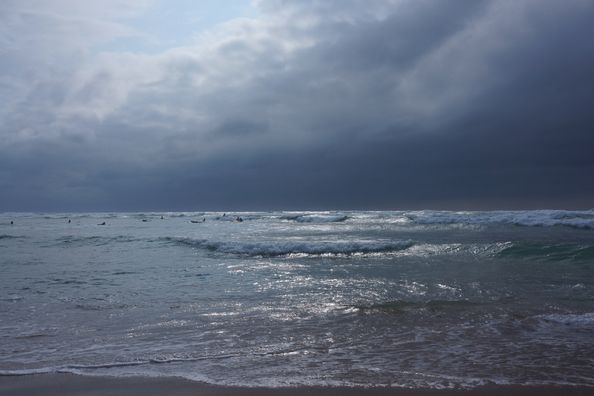 DSC01090_1000x667