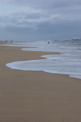 DSC01112_1000x667