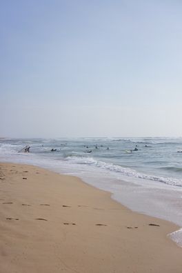 DSC01156_1000x667