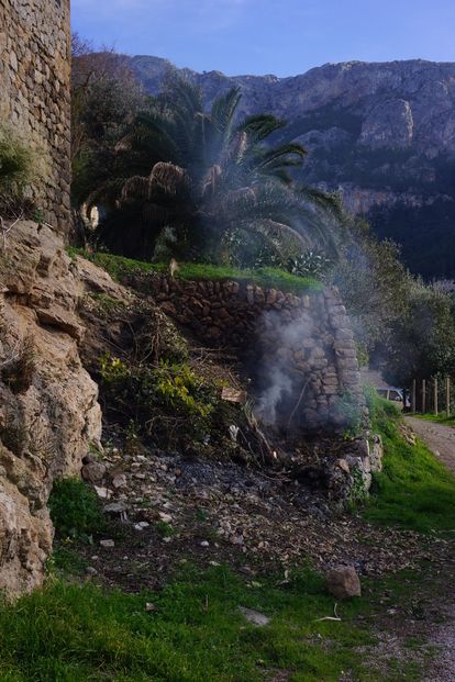 DSC03933_1000x667