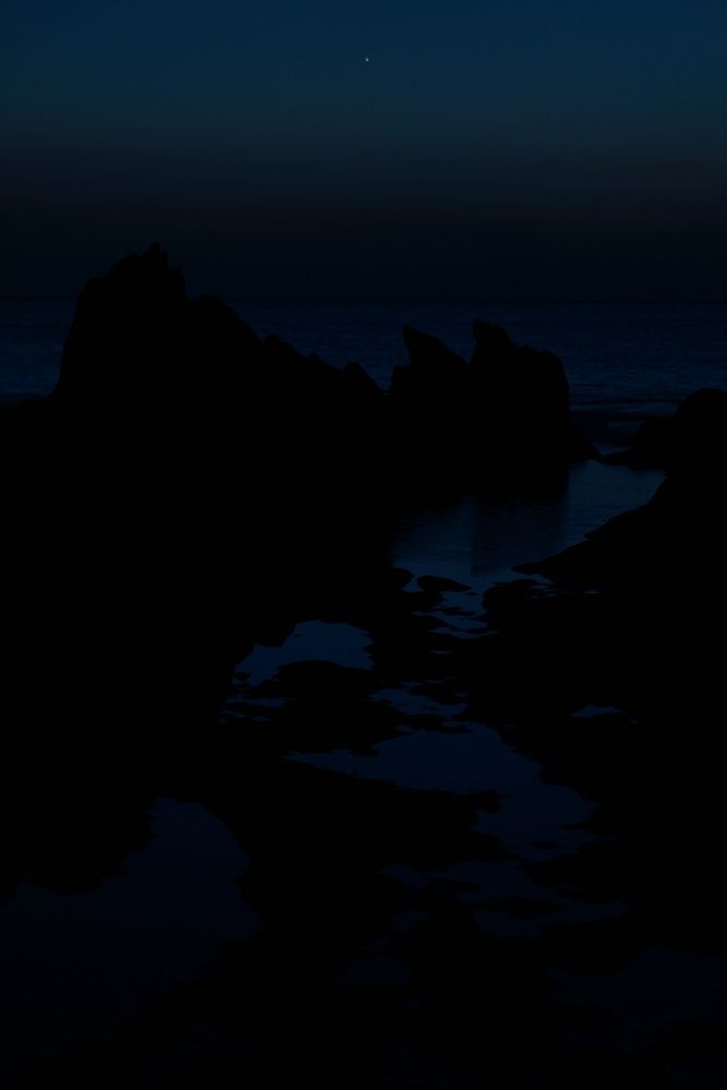 DSC06492_1000x667