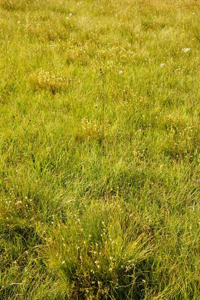 DSC04957_1000x667