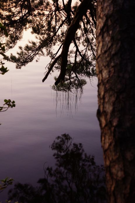 DSC05008_1000x667