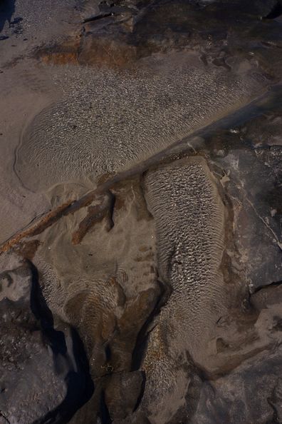 DSC07724_1000x667
