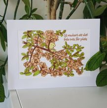 så vackert att det fula inte får plats