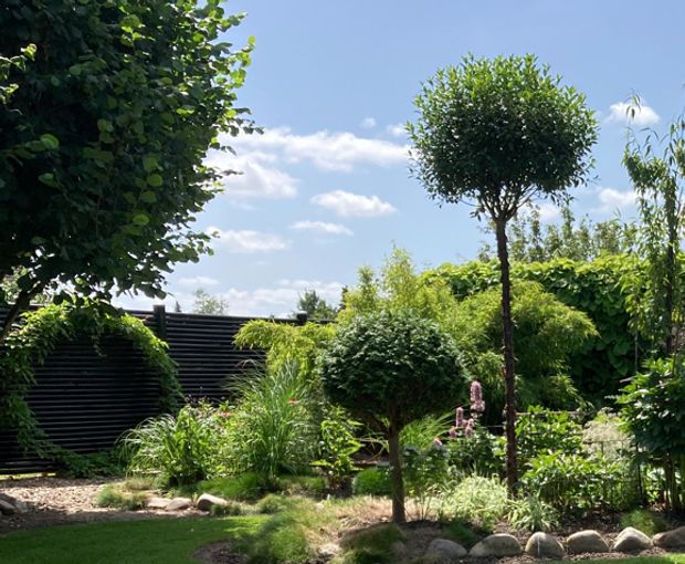 Lavendel - klokkeblomst af en slags???