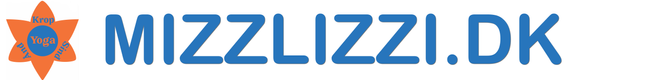 Mizzlizzi logo