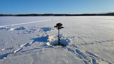 IMG-20220212-WA0000
