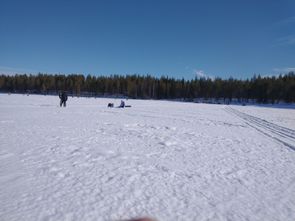 IMG-20230408-WA0002