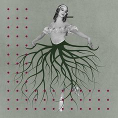 No.440_Root
