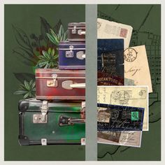 No.282_Luggage