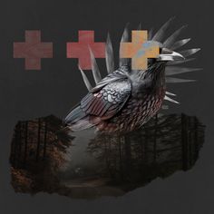 No.330_Crow