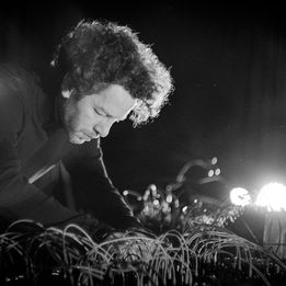 Dries Geusens